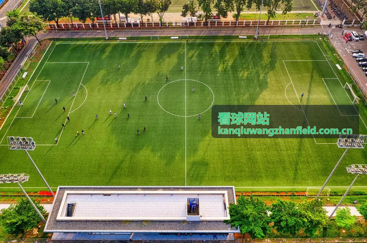 看球网站阿根廷国家队